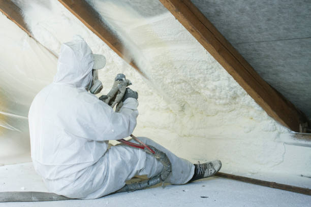 Best Basement Insulation  in USA